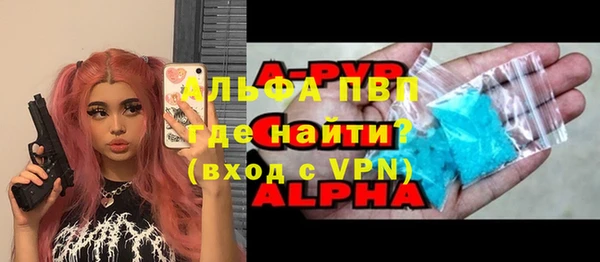 стаф Аркадак