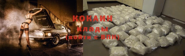 стаф Аркадак