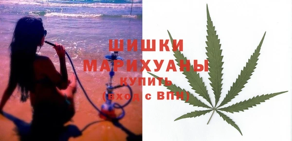 стаф Аркадак