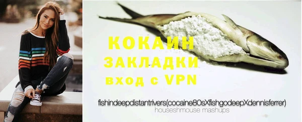 стаф Аркадак