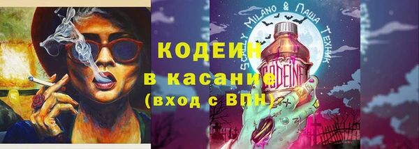 сатива Арсеньев