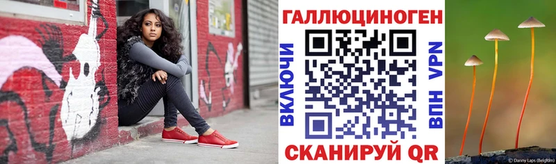 где продают наркотики  Белинский  Галлюциногенные грибы мицелий 